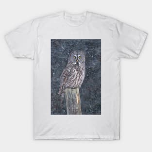 Great Grey Owl in Snow T-Shirt